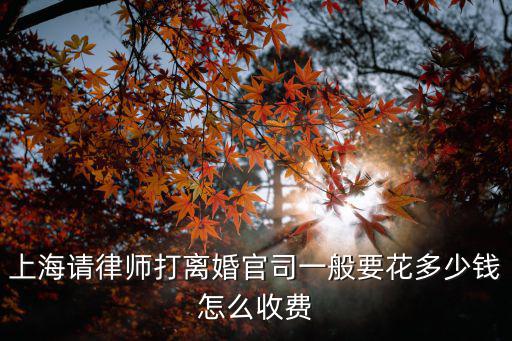 上海請律師打離婚官司一般要花多少錢怎么收費