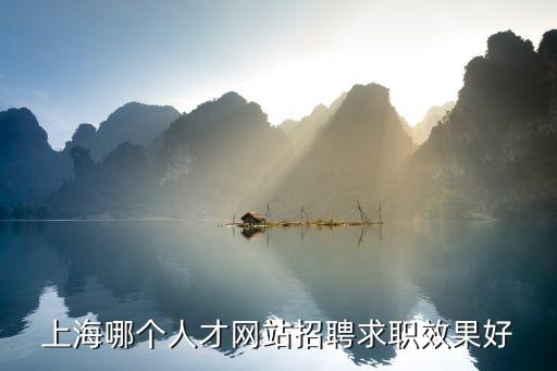 上海招聘網(wǎng)平臺(tái)，上海哪個(gè)人才網(wǎng)站招聘求職效果好