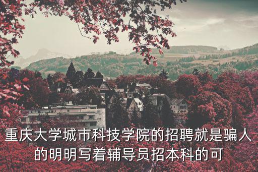 重慶大學城市科技學院的招聘就是騙人的明明寫著輔導員招本科的可