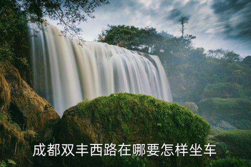 成都市環境科學學會到雙豐路，成都晚上10點下班后坐公交怎么從火車南站到雙豐路