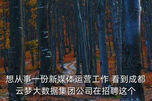 想從事一份新媒體運營工作 看到成都云夢大數據集團公司在招聘這個