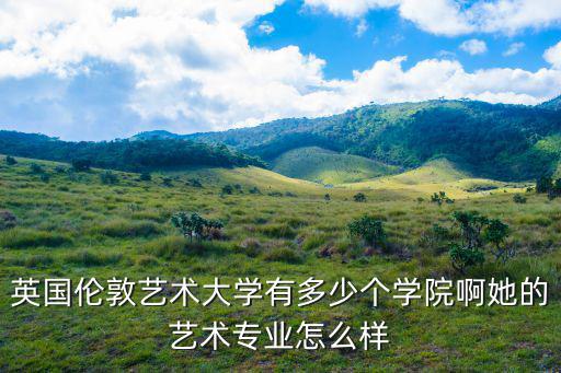 英國倫敦藝術大學有多少個學院啊她的藝術專業怎么樣