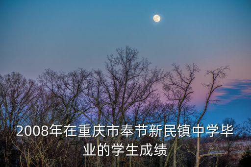 重慶市奉節縣新民鎮石黃村，2008年在重慶市奉節新民鎮中學畢業的學生成績