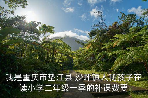 我是重慶市墊江縣 沙坪鎮人我孩子在讀小學二年級一季的補課費要
