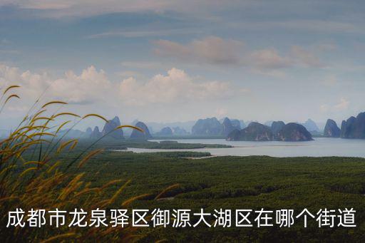 成都市龍泉驛區御源大湖區在哪個街道