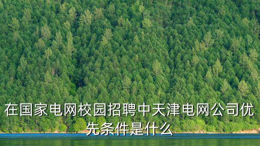 在國家電網校園招聘中天津電網公司優先條件是什么