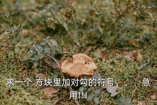 求一個 方塊里加對勾的符號、、、急用!!!