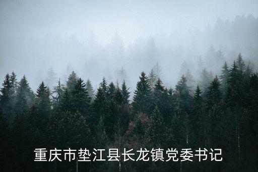 重慶市墊江縣長龍鎮黨委書記