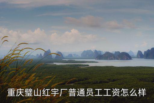 重慶市紅宇玻璃鋼，重慶璧山紅宇廠普通員工工資怎么樣