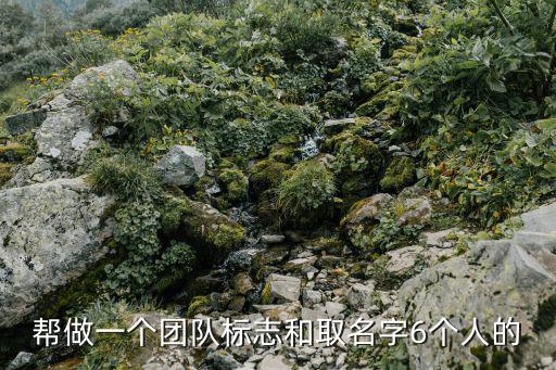 團隊logo，團隊標簽是什么