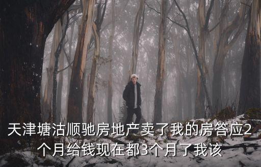 天津塘沽順馳房地產賣了我的房答應2個月給錢現在都3個月了我該