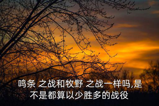 鳴條 之戰和牧野 之戰一樣嗎,是不是都算以少勝多的戰役