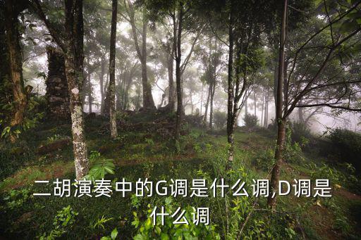 二胡g調把位圖,二胡怎么練牛