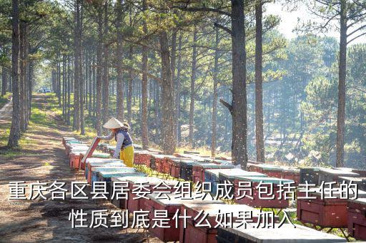 重慶各區縣居委會組織成員包括主任的性質到底是什么如果加入