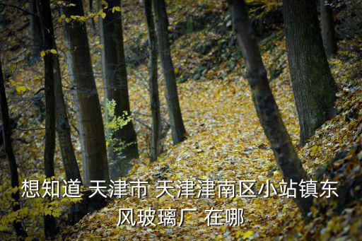 想知道 天津市 天津津南區小站鎮東風玻璃廠 在哪