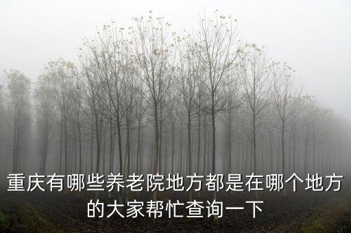 重慶市渝中區民政局辦的養老院，重慶養老院在哪里