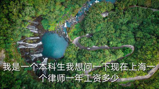 我是一個(gè)本科生我想問一下現(xiàn)在上海一個(gè)律師一年工資多少