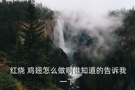  紅燒 雞翅怎么做啊誰知道的告訴我一下