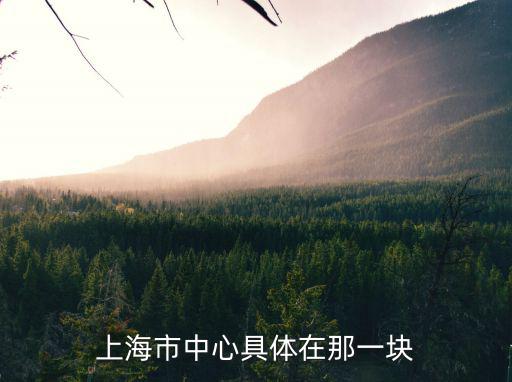 上海城市中心大廈地址，上海中心大廈在哪個區