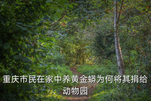 重慶市民在家中養黃金蟒為何將其捐給動物園