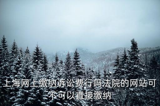上海網上繳納訴訟費行嗎法院的網站可不可以直接繳納