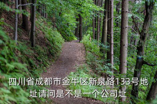 四川省成都市金牛區(qū)新泉路133號(hào)地址請(qǐng)問(wèn)是不是一個(gè)公司址