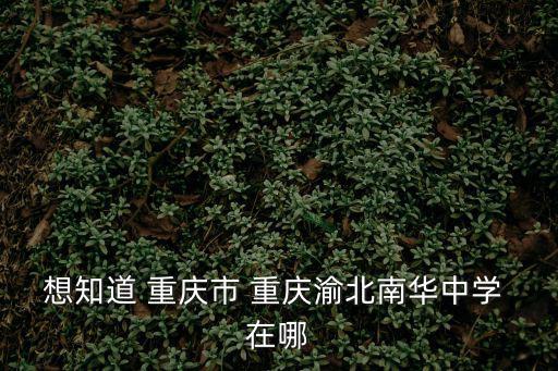 中交中央公園到重慶市南華中學，重慶南華中學在哪里哦