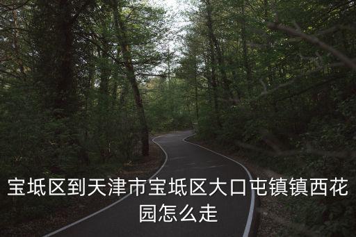 寶坻區(qū)到天津市寶坻區(qū)大口屯鎮(zhèn)鎮(zhèn)西花園怎么走