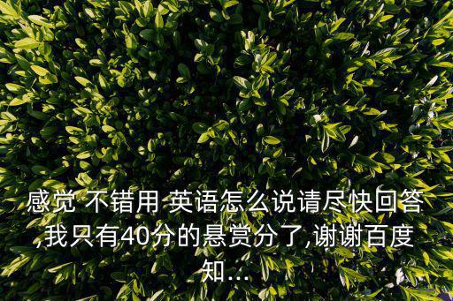 感覺 不錯用 英語怎么說請盡快回答,我只有40分的懸賞分了,謝謝百度知...