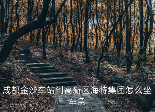 成都市集成電路行業協會 海特高新，現在pos機業務還好做嗎我想問下都有哪些宣傳銷售方式我是代理