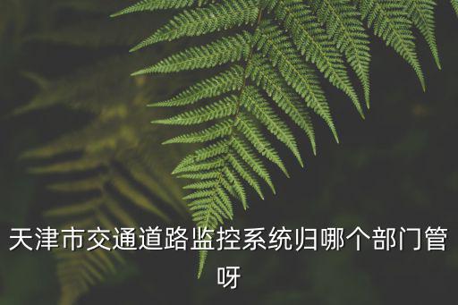 天津市交通道路監(jiān)控系統(tǒng)歸哪個(gè)部門管呀