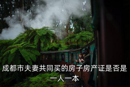 成都市夫妻共同買的房子房產(chǎn)證是否是一人一本
