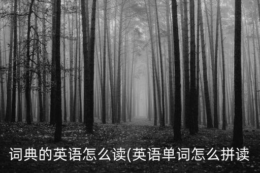 詞典的英語怎么讀(英語單詞怎么拼讀