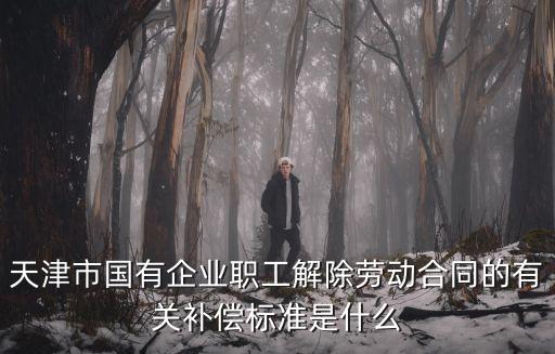 天津市國有企業職工解除勞動合同的有關補償標準是什么