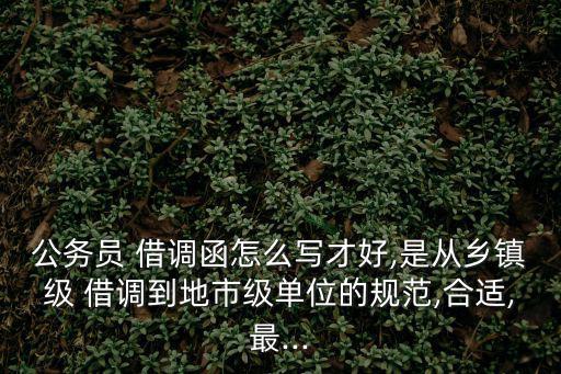 公務(wù)員 借調(diào)函怎么寫才好,是從鄉(xiāng)鎮(zhèn)級 借調(diào)到地市級單位的規(guī)范,合適,最...