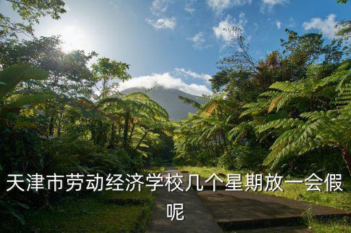天津市勞動經濟學校幾個星期放一會假呢