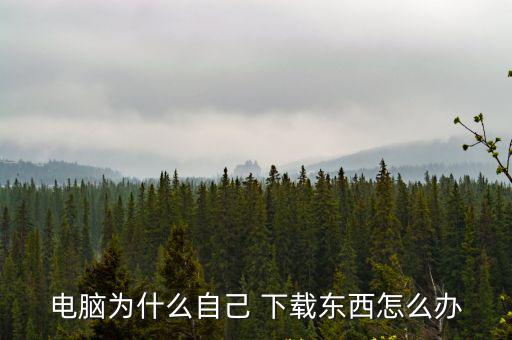 電腦為什么自己 下載東西怎么辦