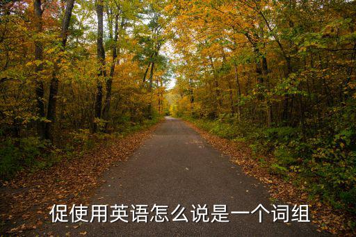  促使用英語(yǔ)怎么說(shuō)是一個(gè)詞組