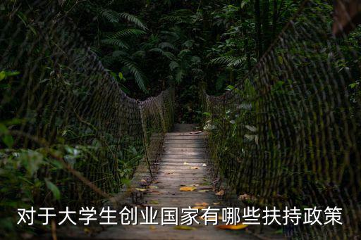 對于大學生創(chuàng)業(yè)國家有哪些扶持政策