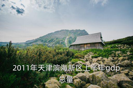 2011年天津濱海新區上半年gdp總量