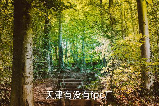 天津市滕文電子有限公司，急天津都有哪些和生產電腦主板有關系的電子廠