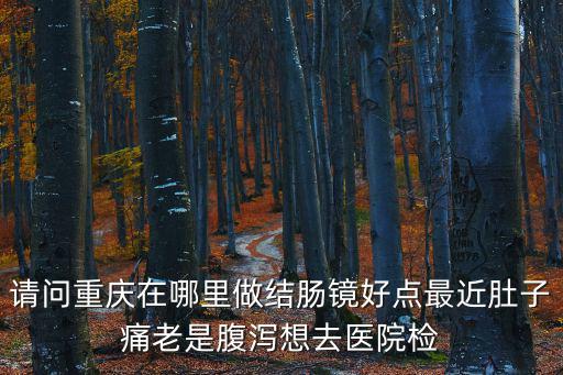 請問重慶在哪里做結腸鏡好點最近肚子痛老是腹瀉想去醫院檢