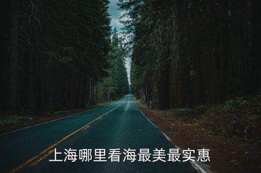 上海哪里看海最美最實惠