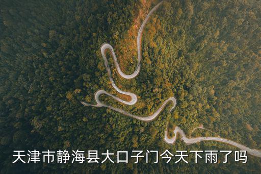 天津市靜海縣大口子門今天下雨了嗎