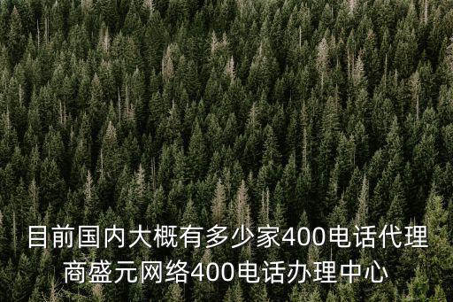 目前國內(nèi)大概有多少家400電話代理商盛元網(wǎng)絡(luò)400電話辦理中心