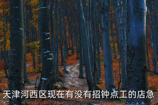 天津河西區(qū)現(xiàn)在有沒有招鐘點(diǎn)工的店急