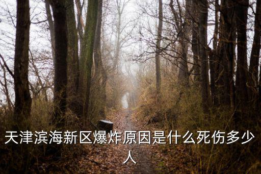 天津濱海新區(qū)爆炸原因是什么死傷多少人