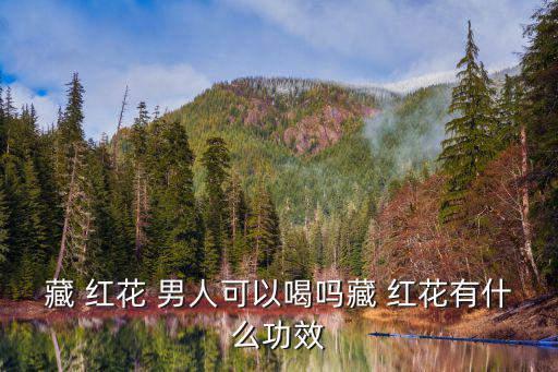 藏 紅花 男人可以喝嗎藏 紅花有什么功效