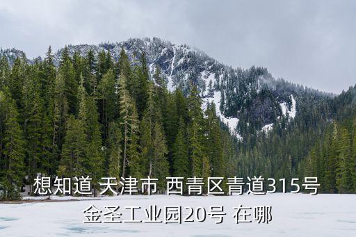 想知道 天津市 西青區(qū)青道315號(hào)金圣工業(yè)園20號(hào) 在哪