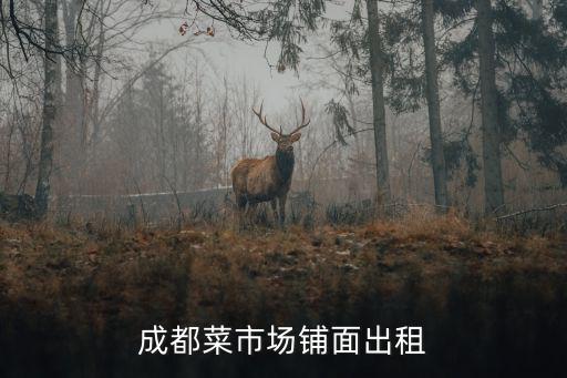 成都菜市場鋪面出租